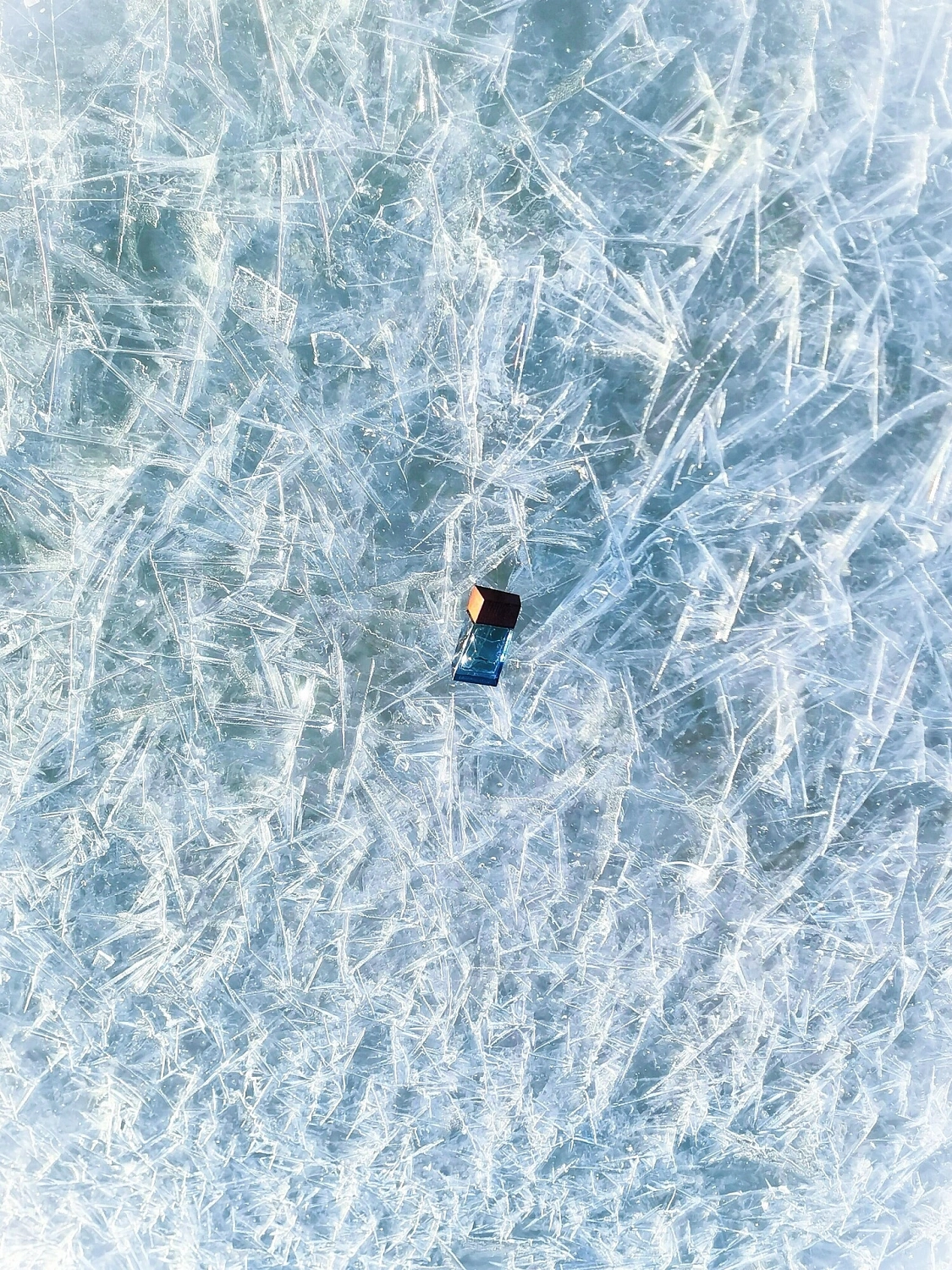 Lolita Lempicka Homme