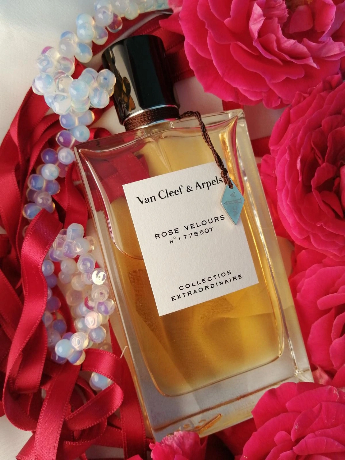 Van Cleef & Arpels Collection Extraordinaire Rose Velours