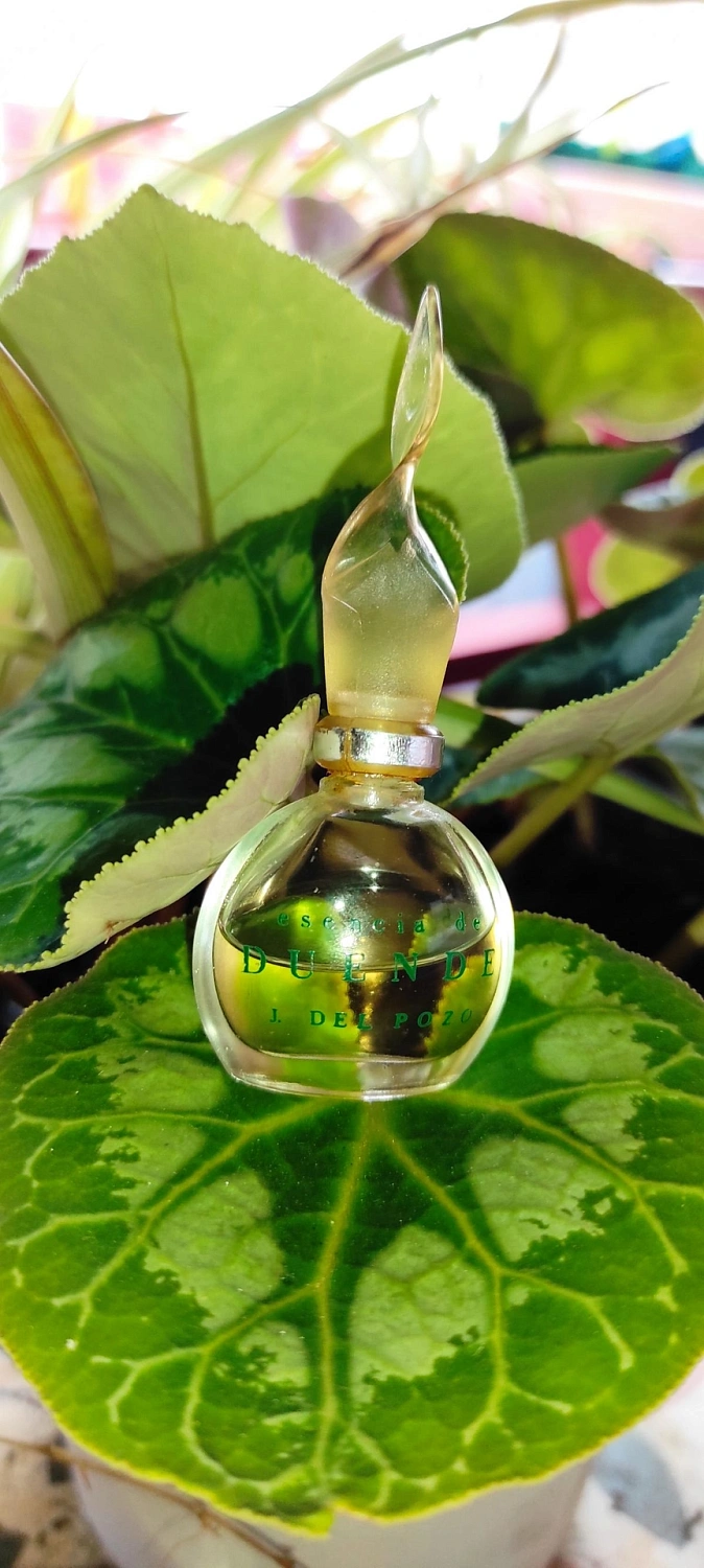 Jesus Del Pozo Esencia de Duende