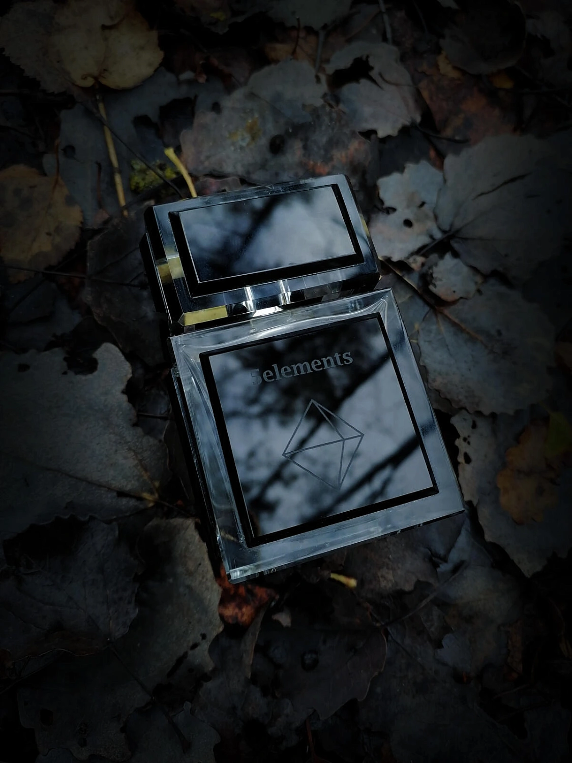 Ramon Molvizar 5 Elements