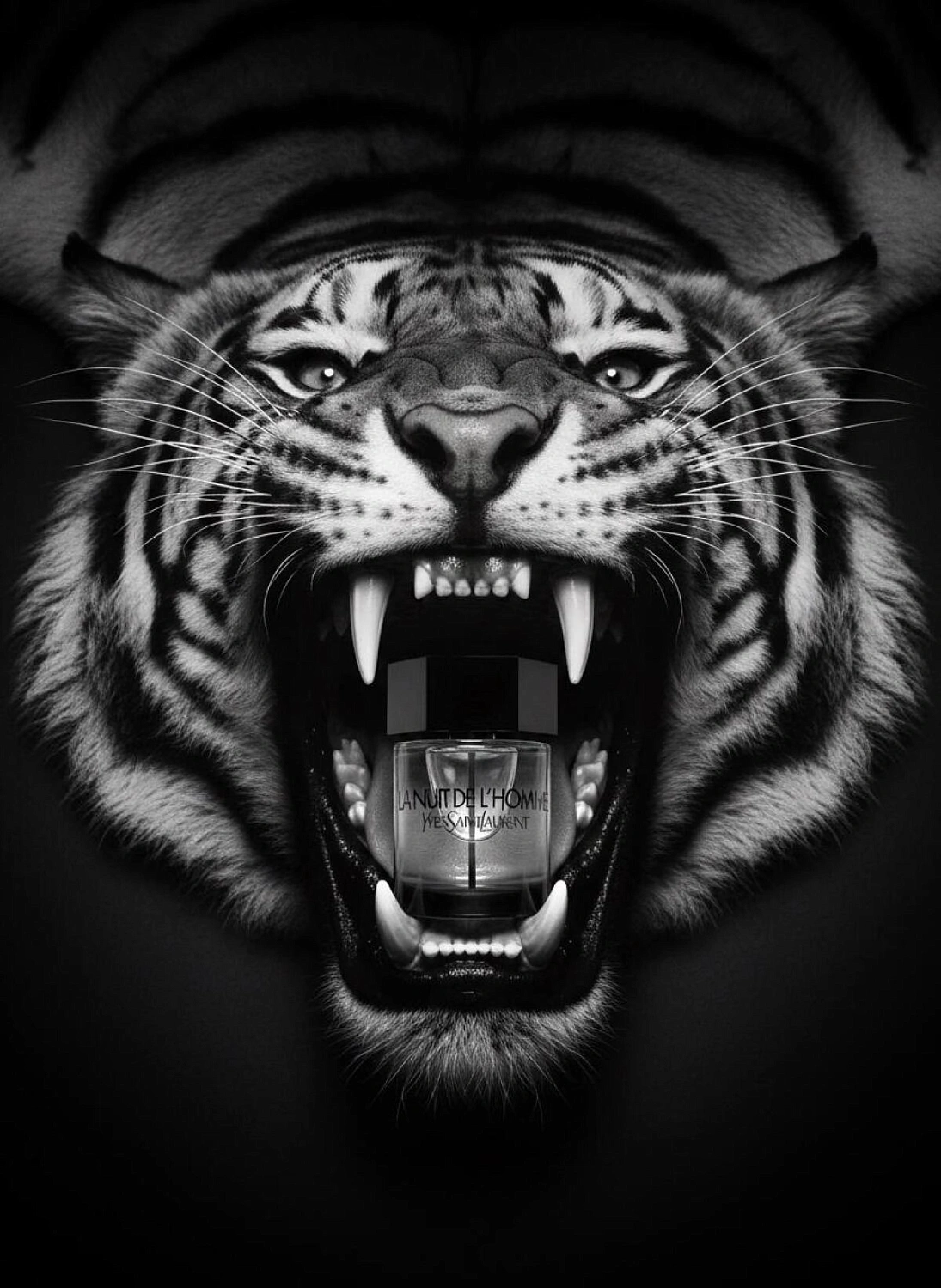 Yves Saint Laurent La Nuit de L’Homme