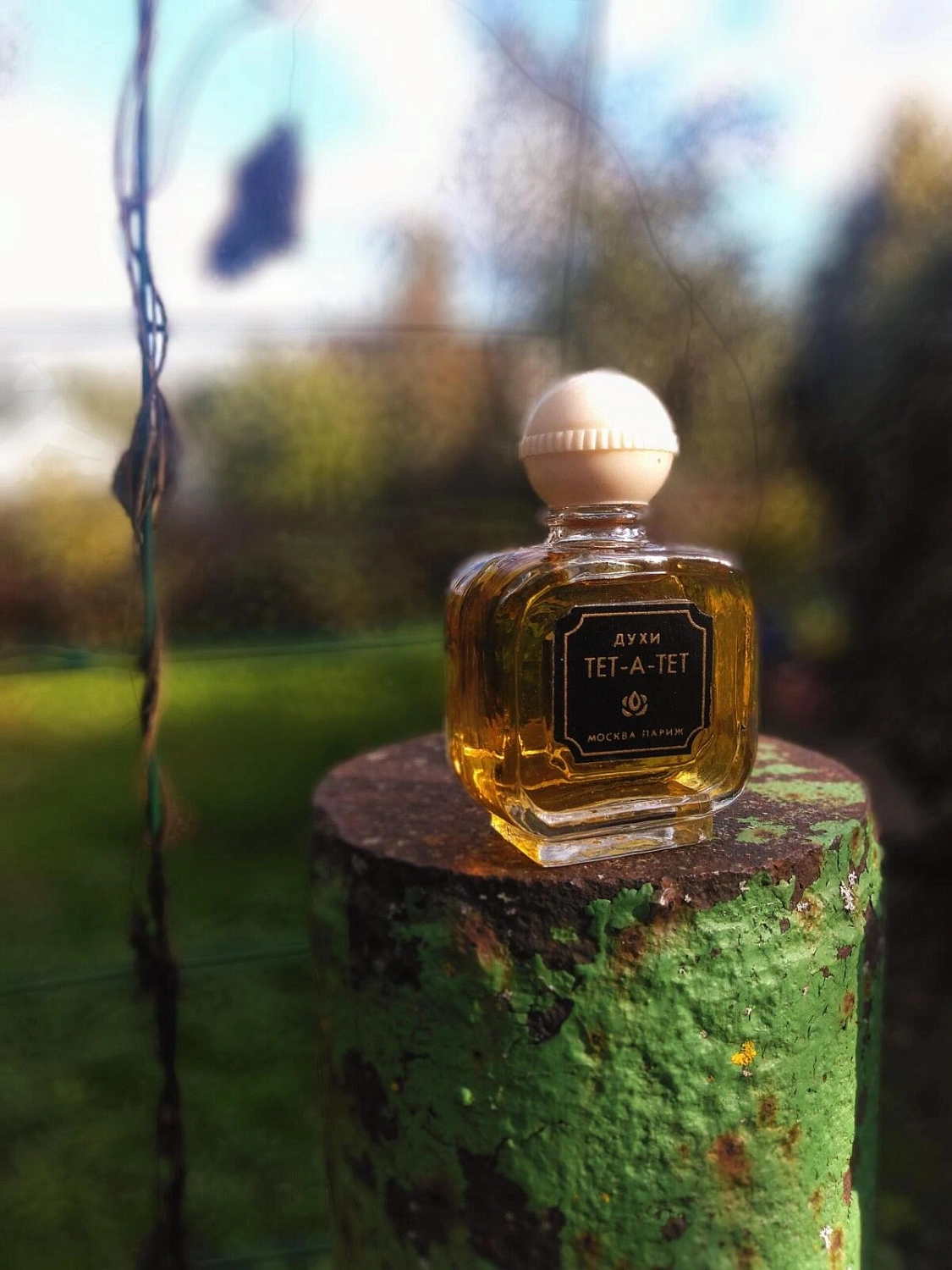 Novaya Zarya (Новая Заря) Tete-a-Tete Nouvelle Etoile