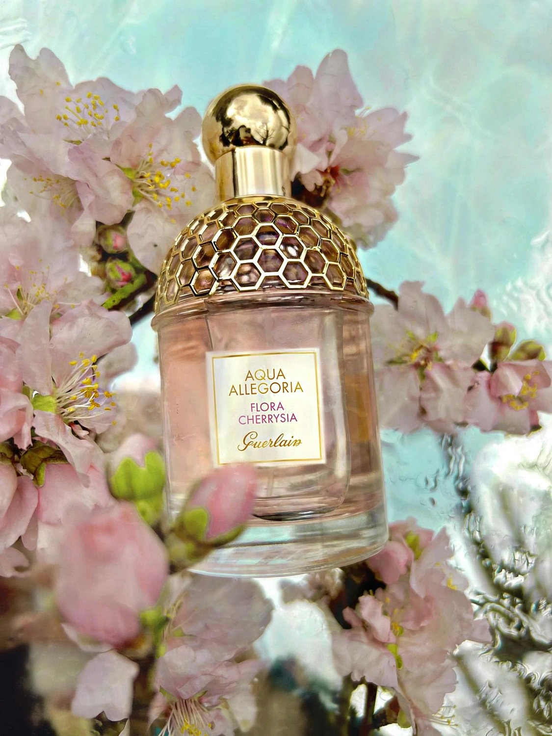 Guerlain Aqua Allegoria Flora Cherrysia Guerlain Aqua Allegoria Flora Cherrysia