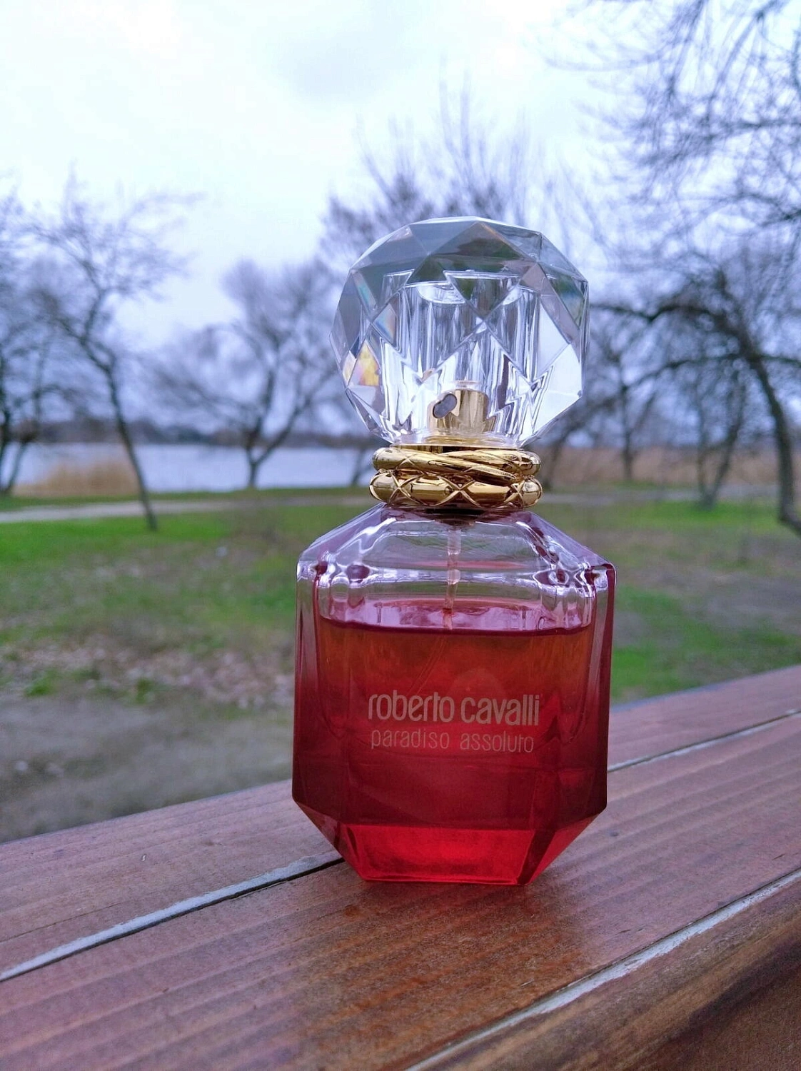 Roberto Cavalli Paradiso Assoluto