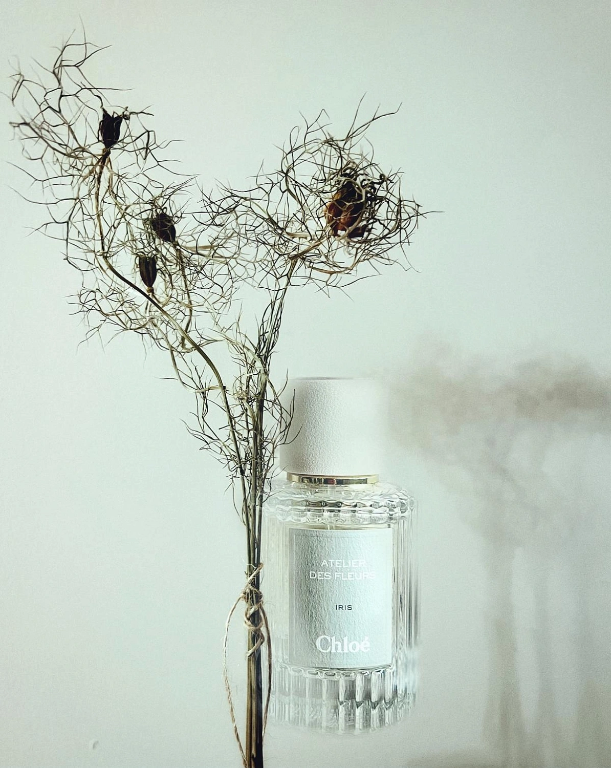 Chloe Atelier Des Fleurs Iris