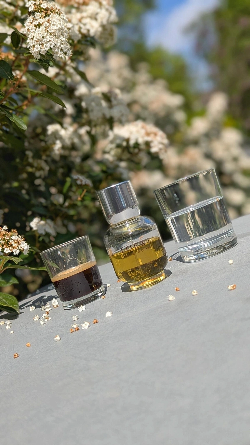 Loewe Pour Homme Loewe Pour Homme