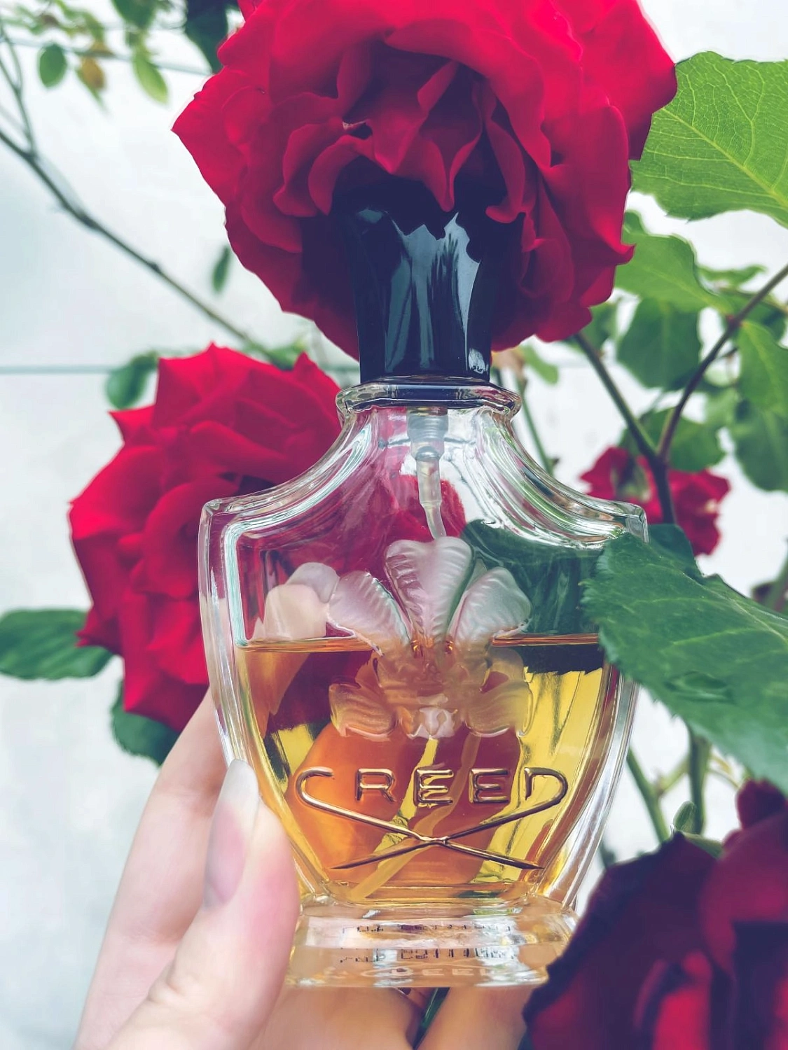 Creed Fleurs de Bulgarie