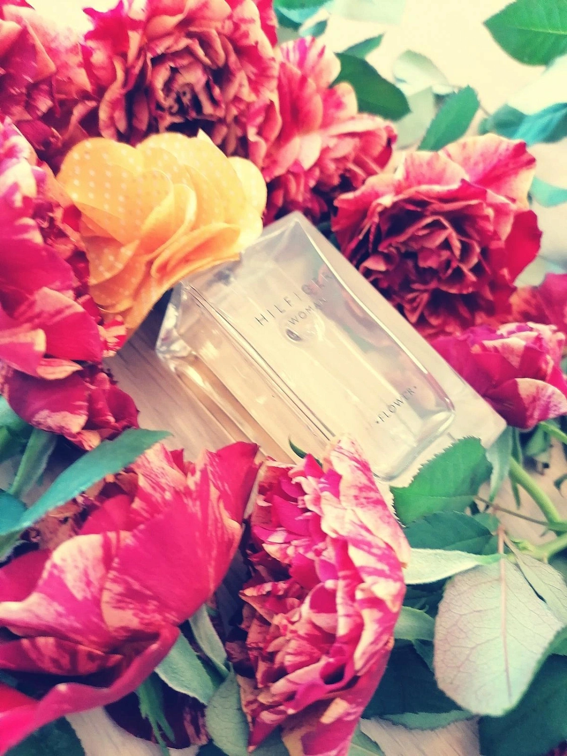 TOMMY HILFIGER Flower Marigold TOMMY HILFIGER Flower Marigold