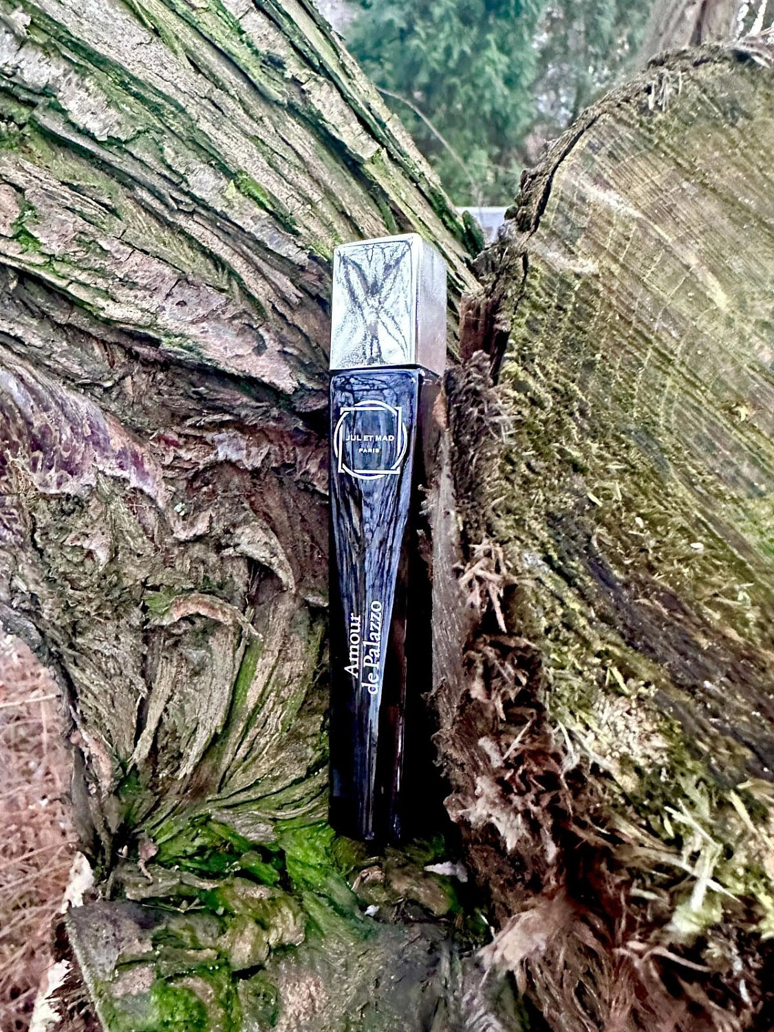 Jul et Mad Amour de Palazzo