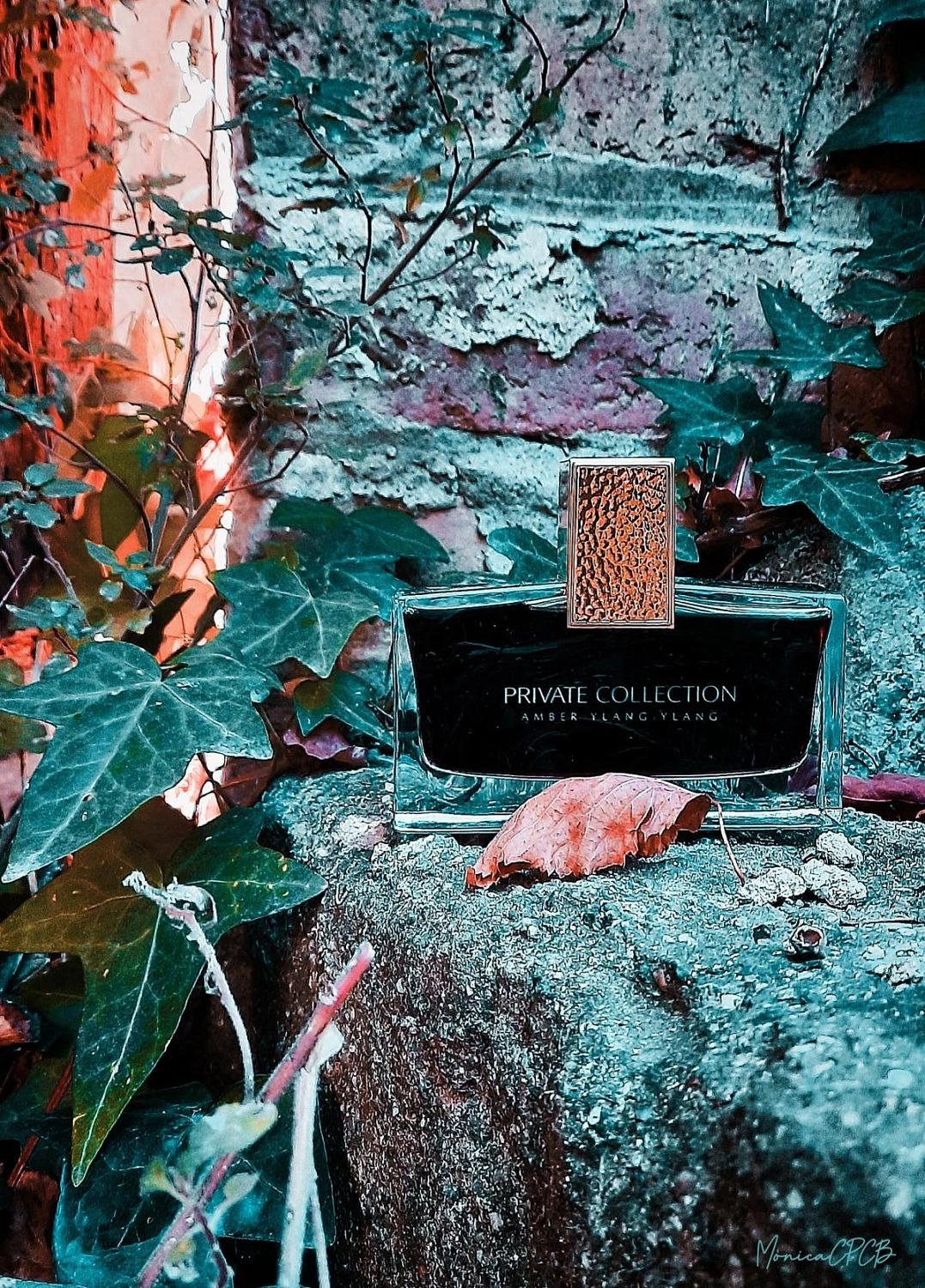 Estee Lauder Private Collection Amber Ylang Ylang Estee Lauder Private Collection Amber Ylang Ylang