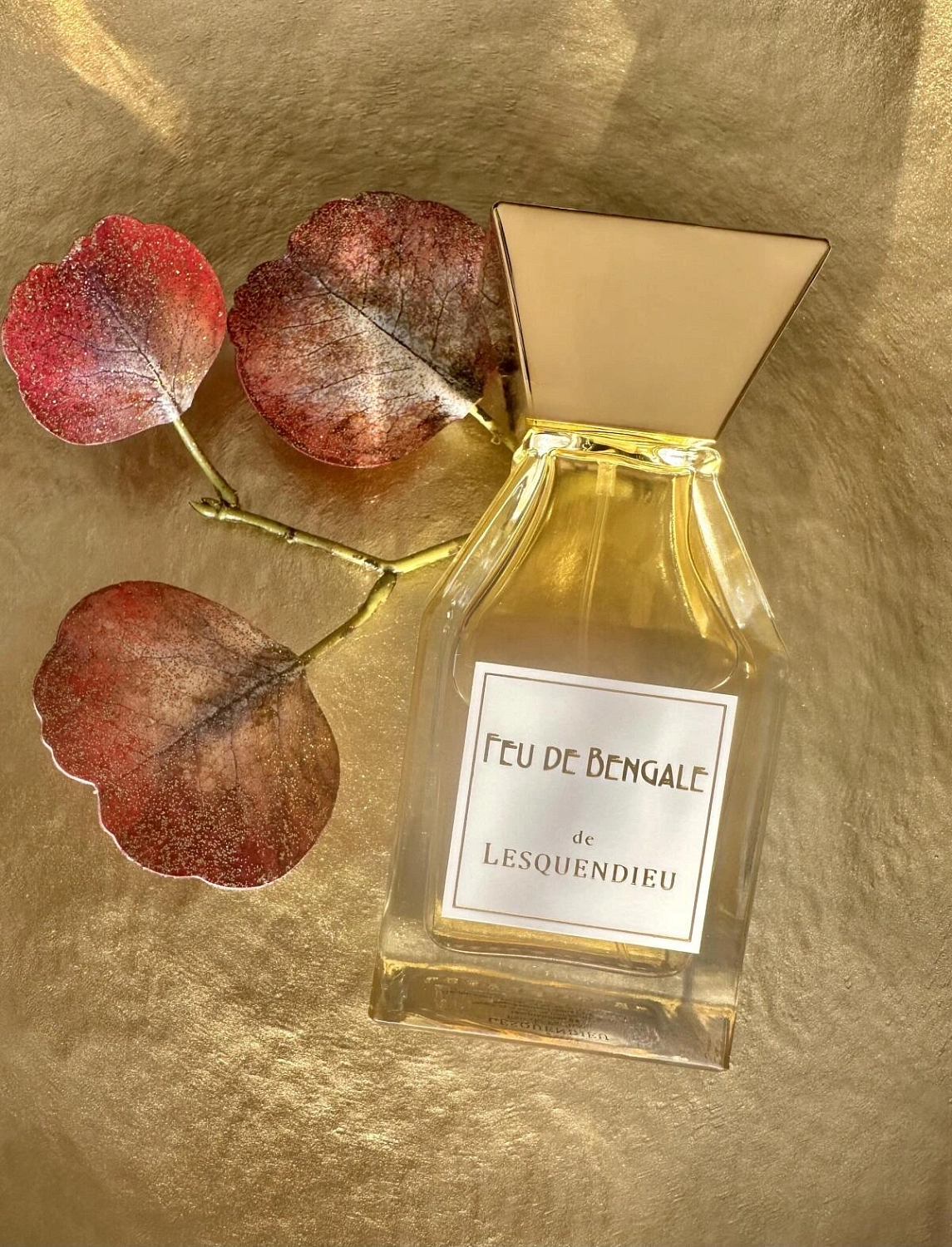 Lesquendieu Feu De Bengale