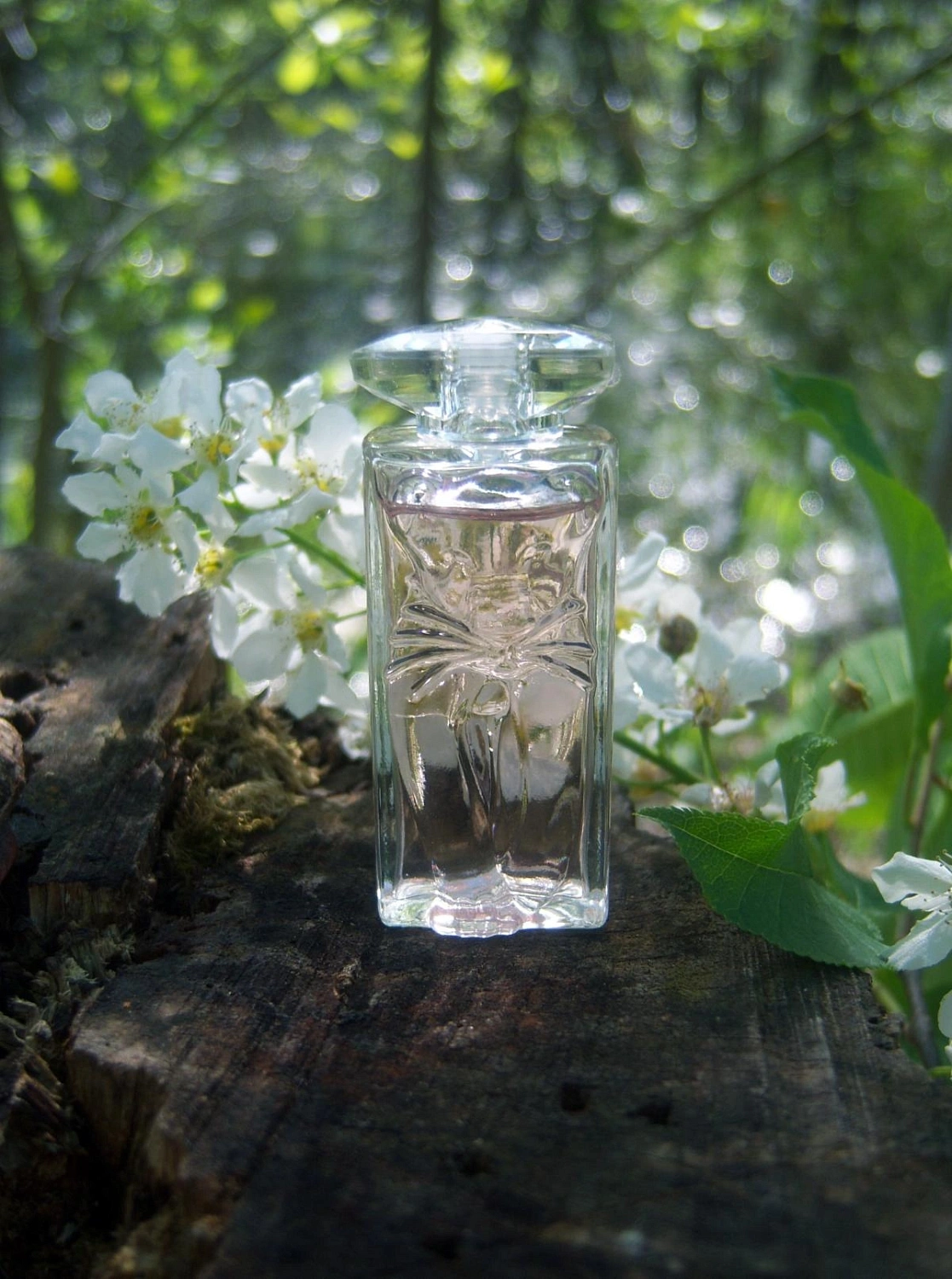 Salvador Dali La Belle et l’Ocelot Eau de Toilette