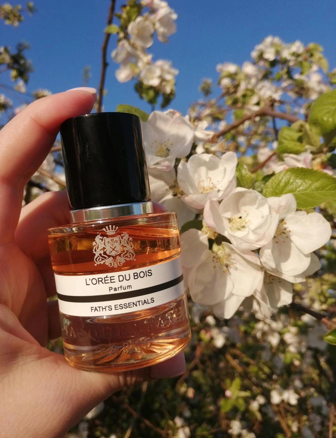 Jacques Fath L'Oree du Bois