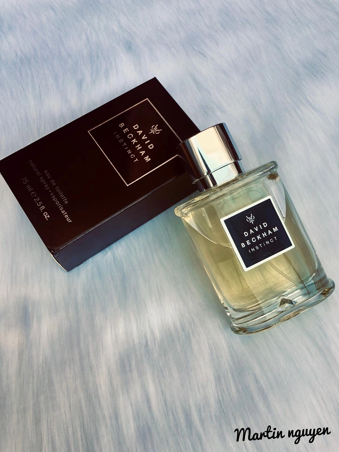 David Beckham Instinct