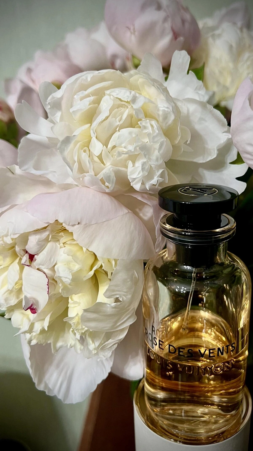 Louis Vuitton Rose Des Vents