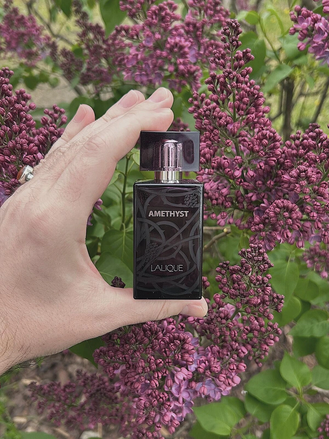 Lalique Amethyst
