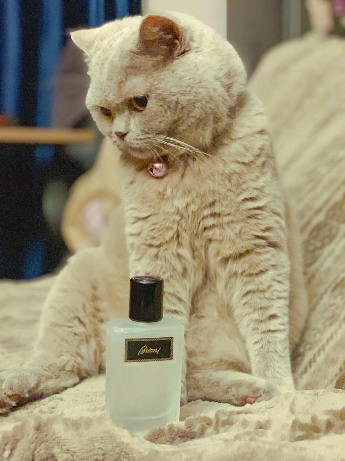 Brioni Eau de Parfum Eclat