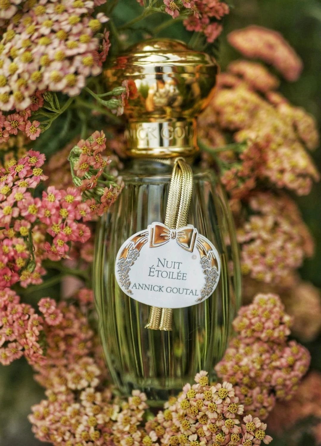 Annick Goutal Nuit Etoilee Men