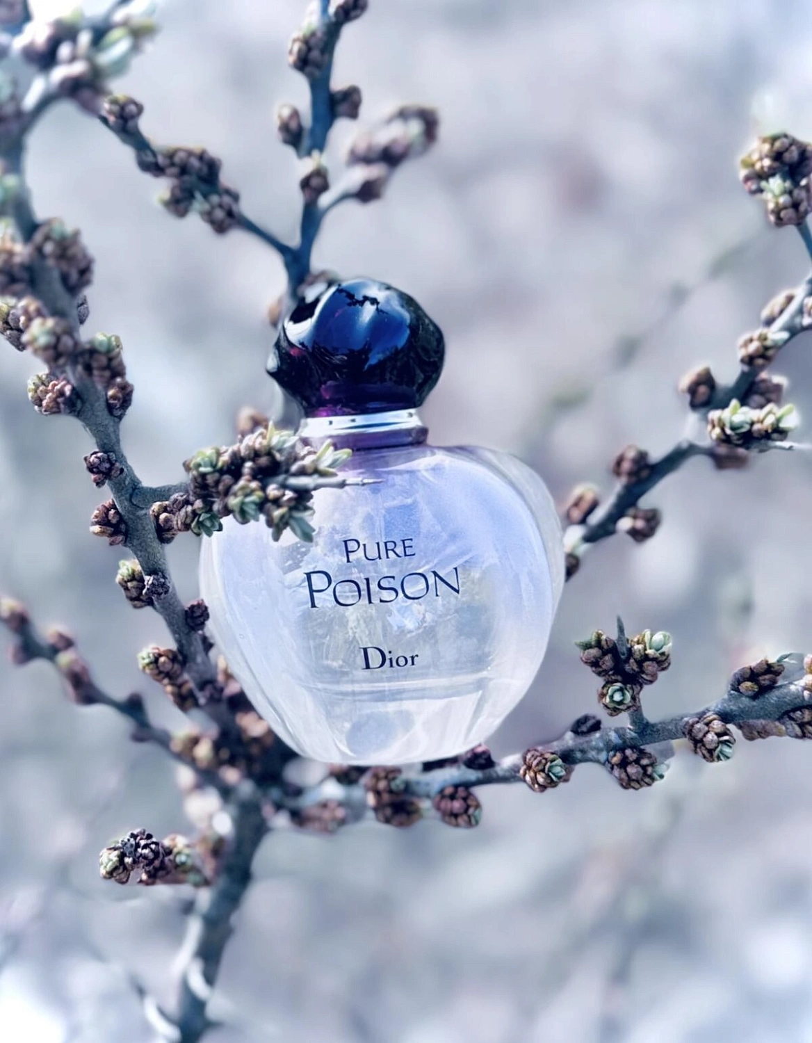 Christian Dior Pure Poison