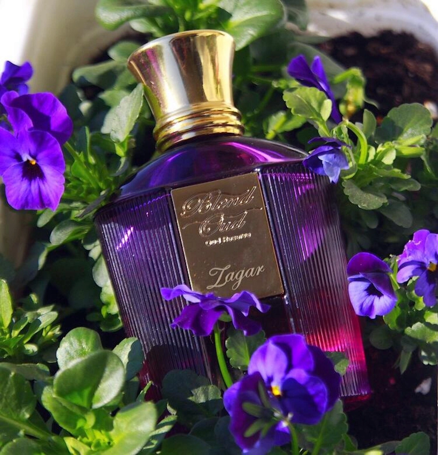 Blend Oud Zagar