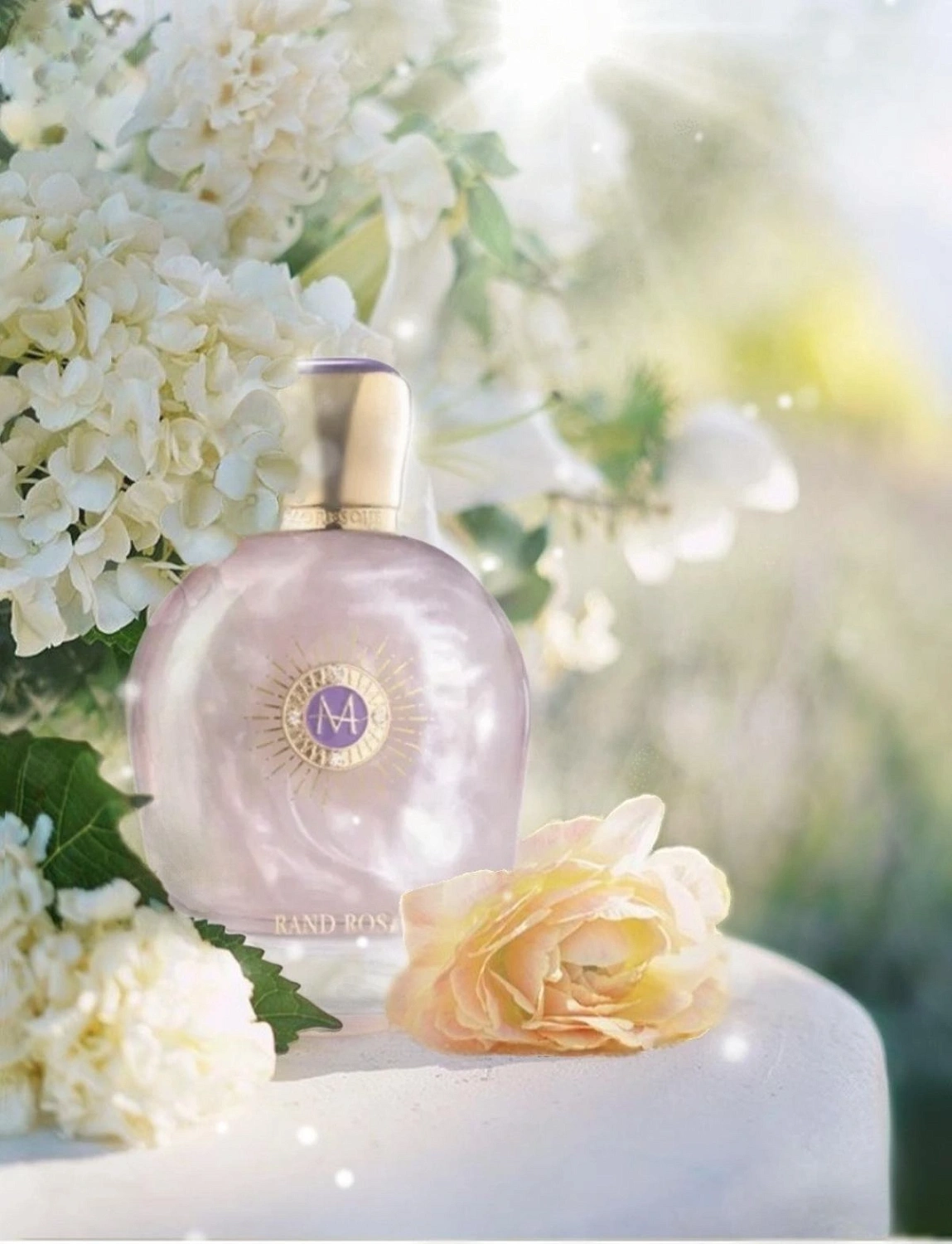 Moresque Rand Rose Moresque Rand Rose
