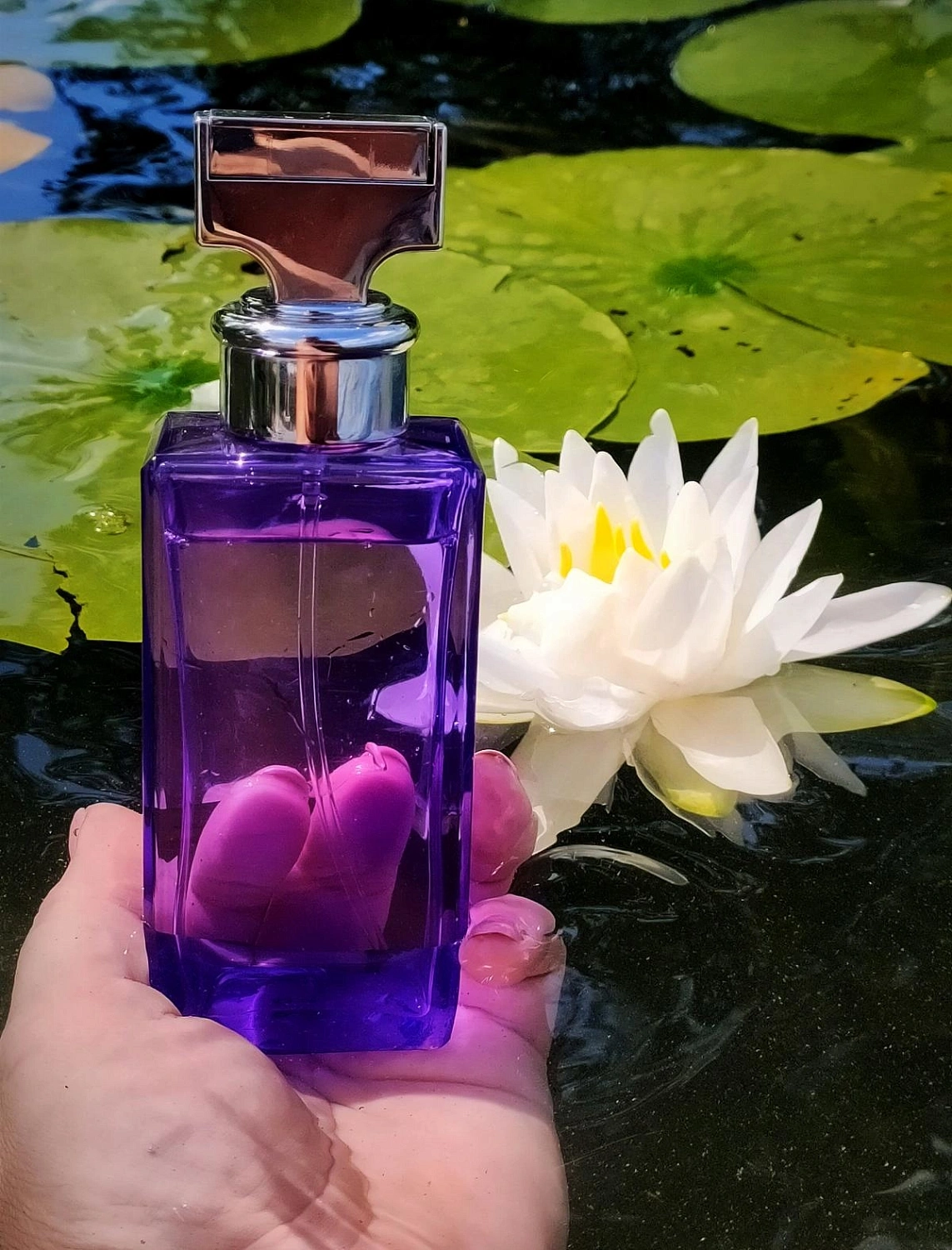 CALVIN KLEIN Eternity Purple Orchid CALVIN KLEIN Eternity Purple Orchid
