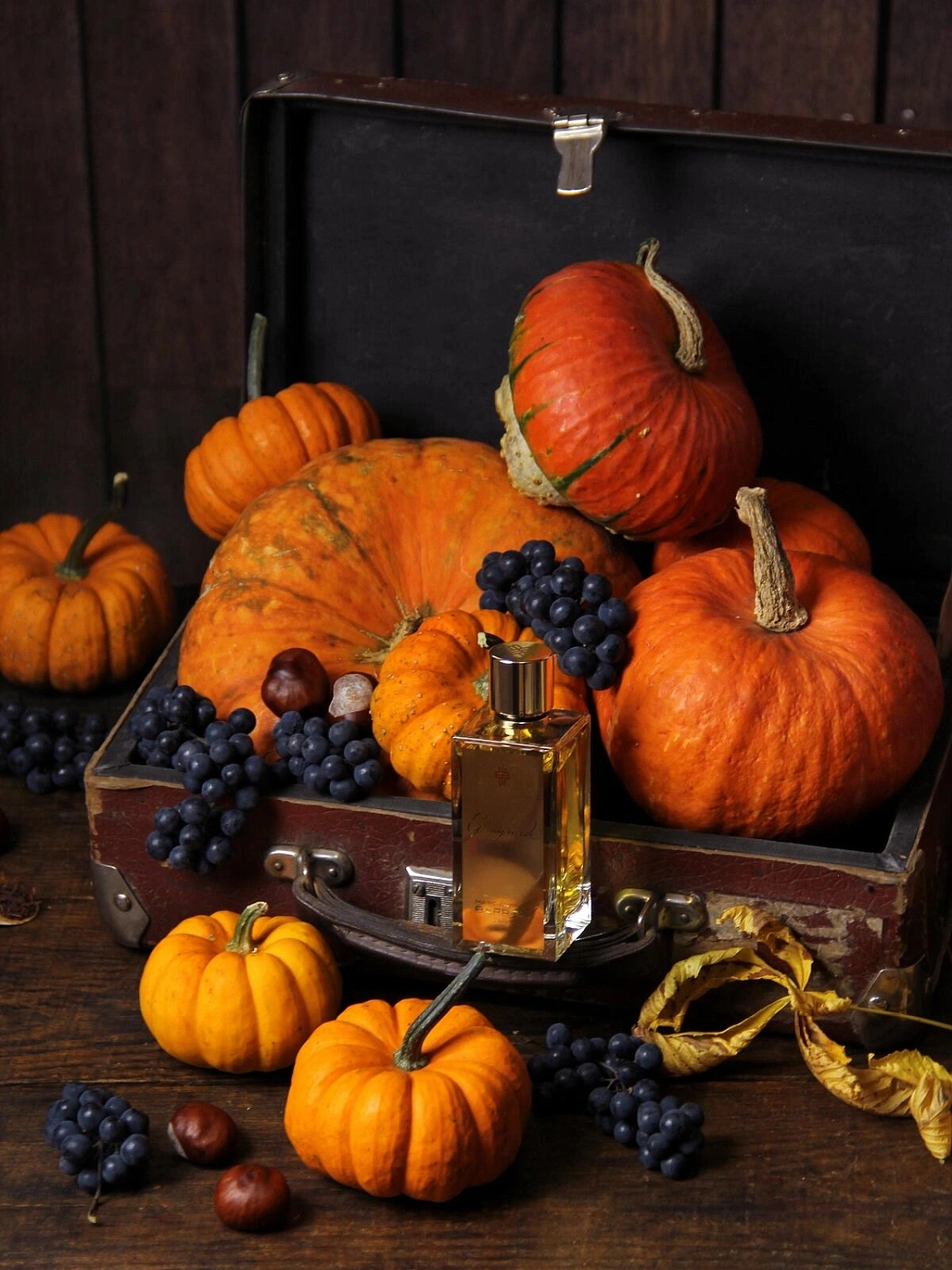 Marc-Antoine Barrois Ganymede