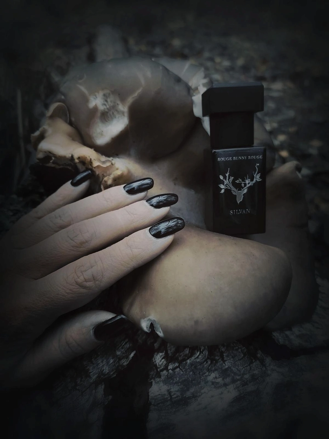 Rouge Bunny Rouge Silvan