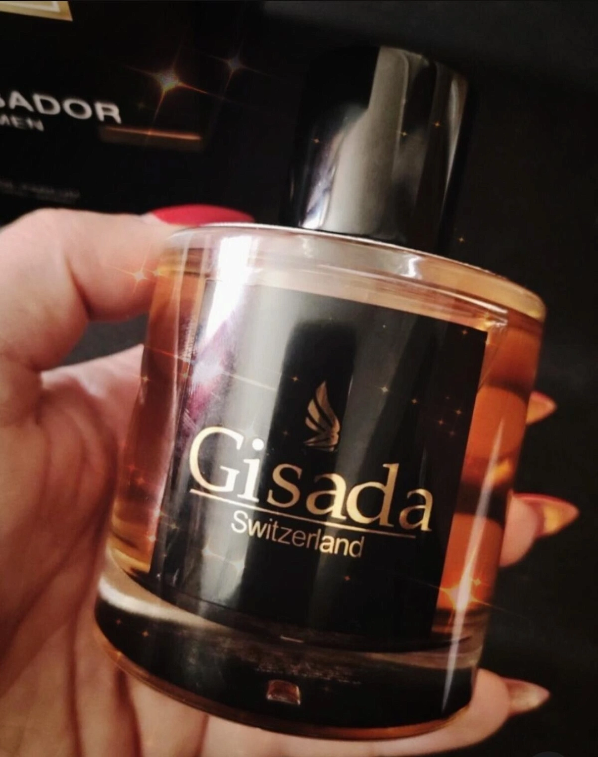 Gisada Ambassador Men