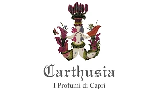 CARTHUSIA CARTHUSIA