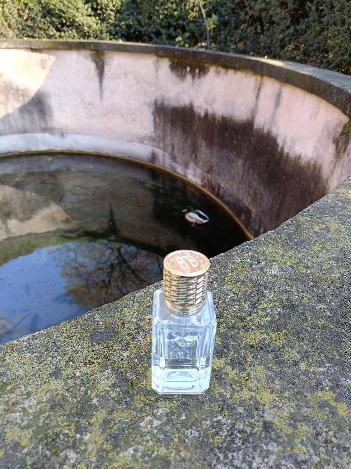 Ex Nihilo Iris Porcelana