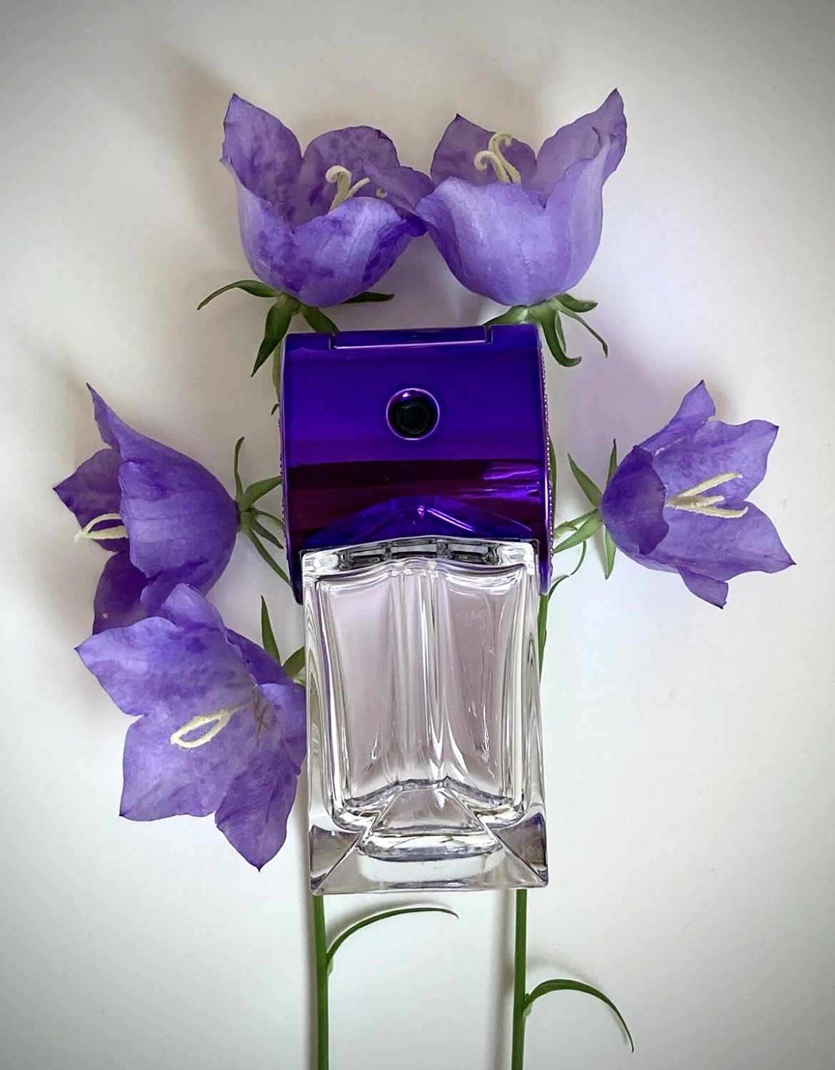 Stella McCartney Pop Bluebell