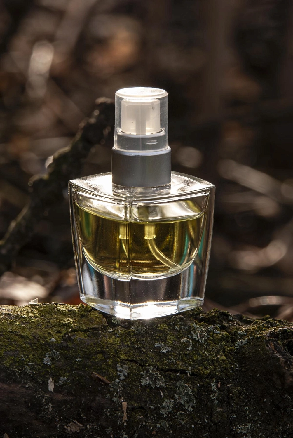 Isabella Rosselini Manifesto