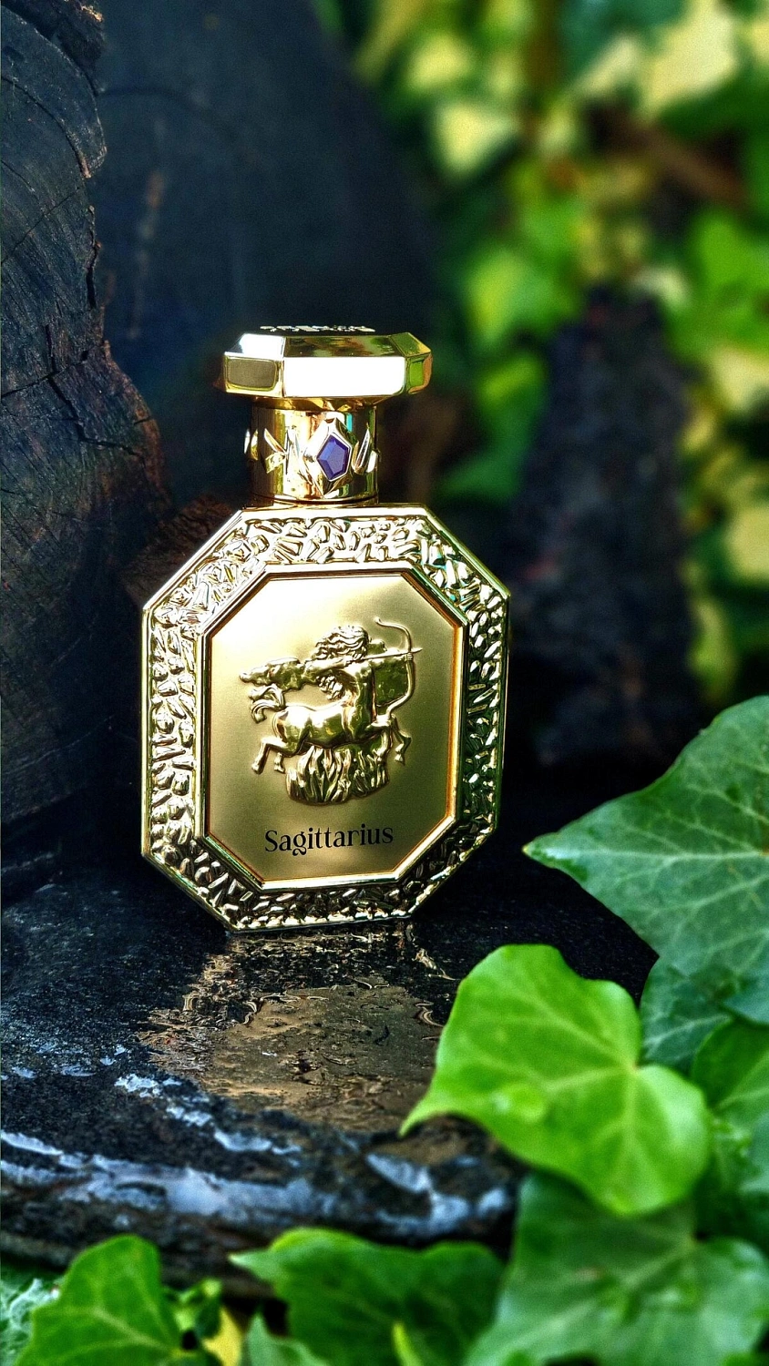 Fragrance World Sagittarius