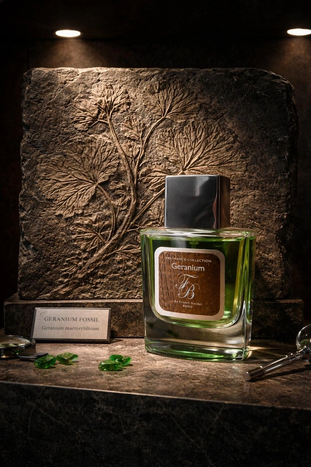Franck Boclet Geranium