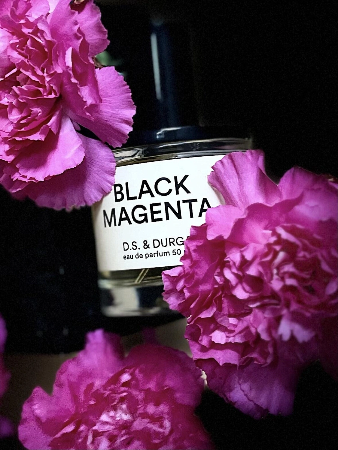 D.S. & Durga Black Magenta