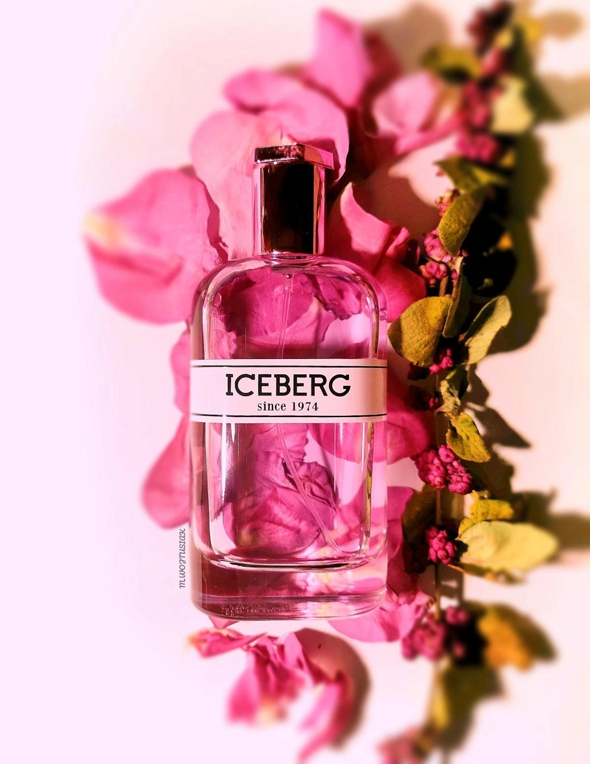 Iceberg Since 1974 for Her Iceberg Since 1974 for Her