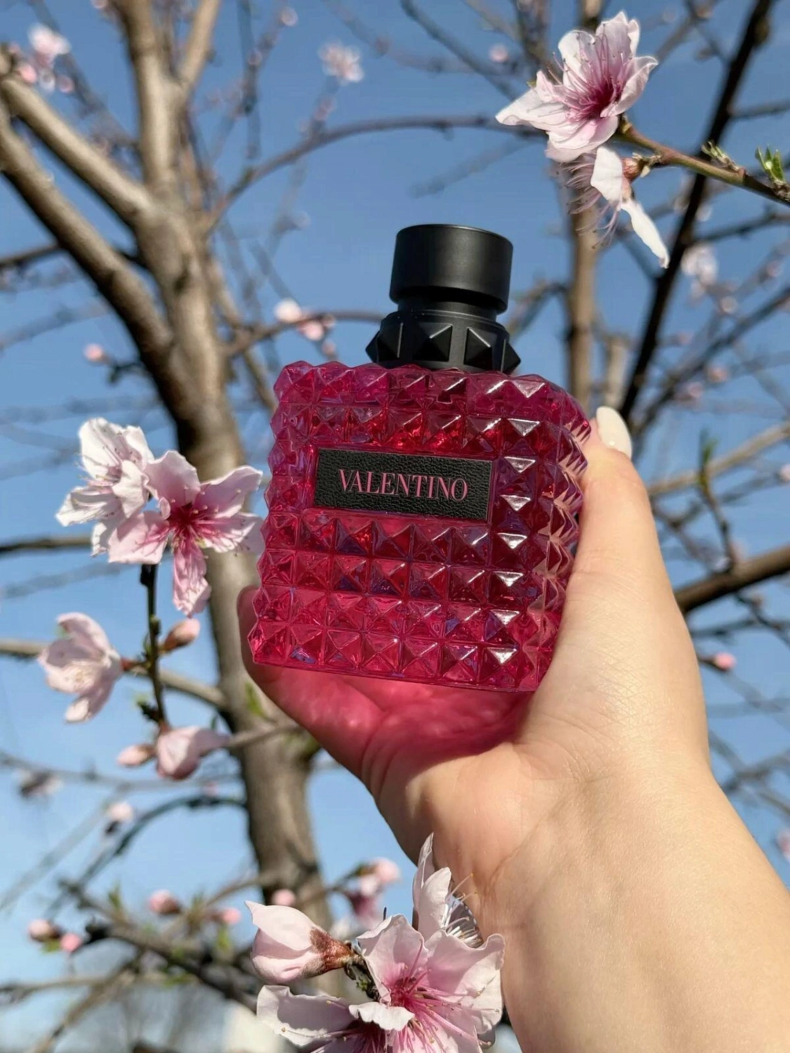 Valentino Donna Born In Roma Extradose