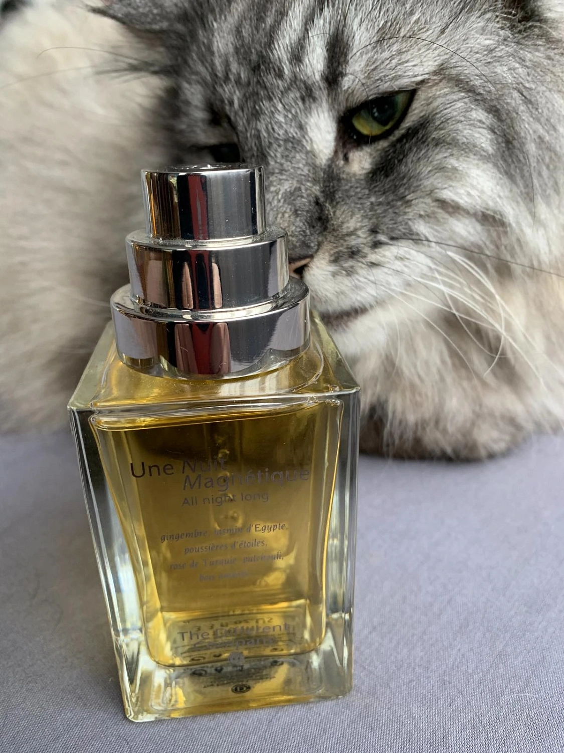 The Different Company Une Nuit Magnetique - All Night Long