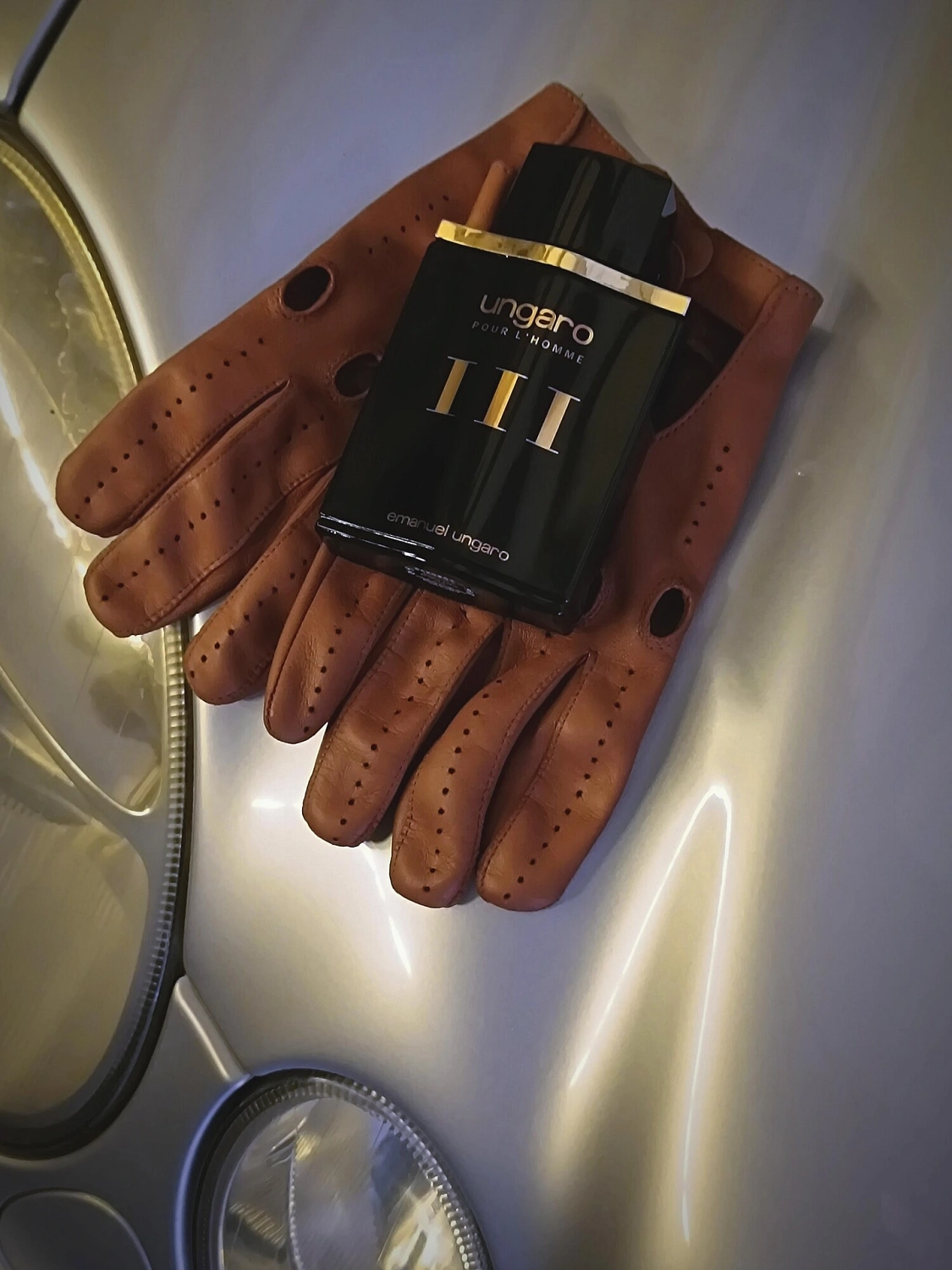 Emanuel Ungaro pour L'Homme III