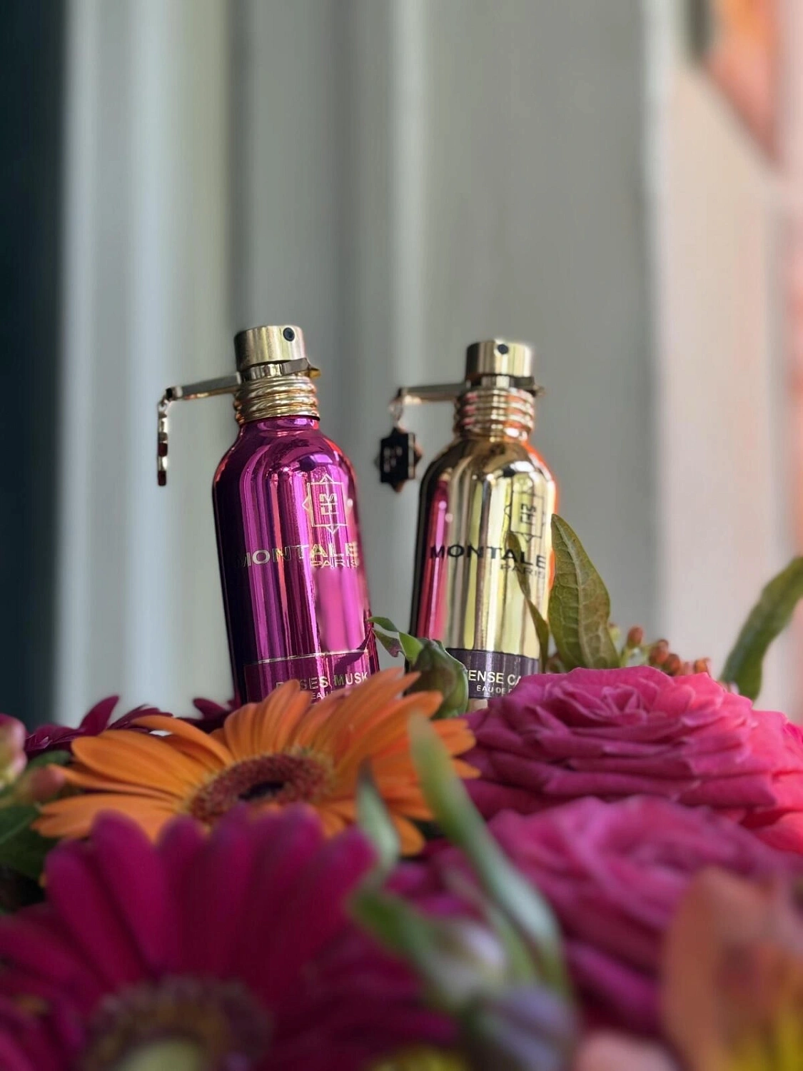 MONTALE Intense Cafe