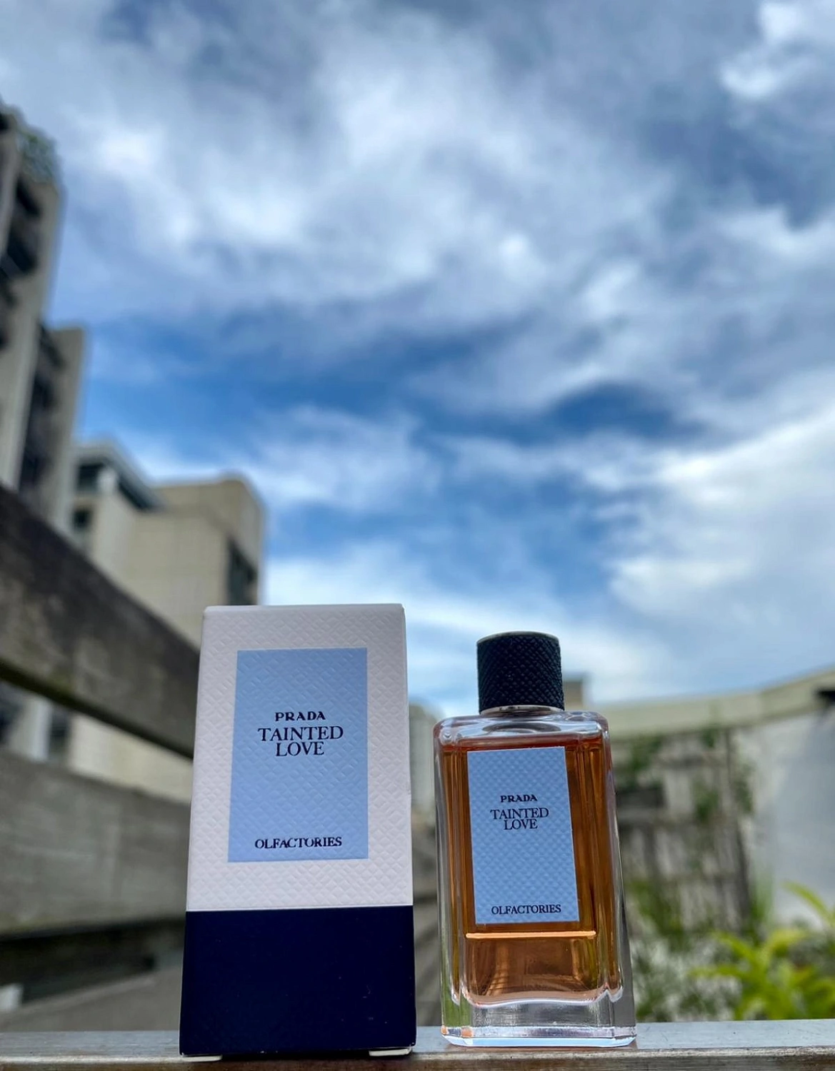 Prada Tainted Love