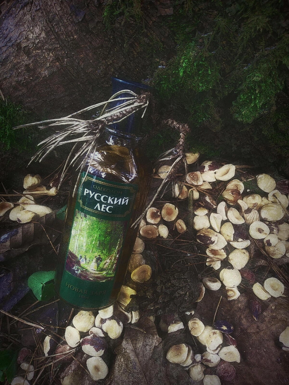 Novaya Zarya (Новая Заря) Русский Лес (Russian Forest)