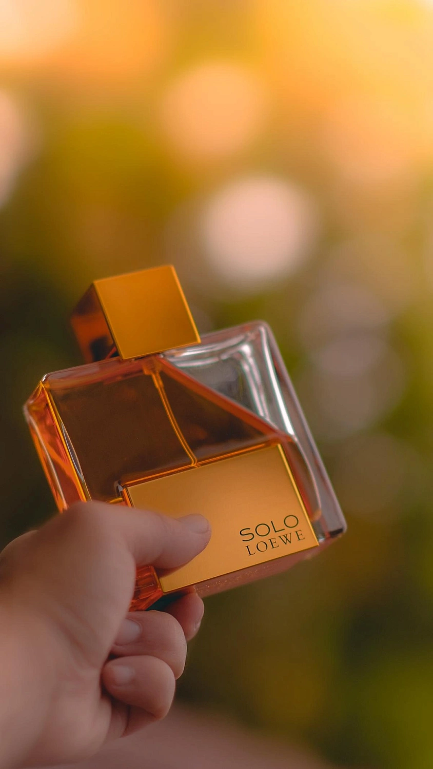 Solo Loewe Absoluto Solo Loewe Absoluto