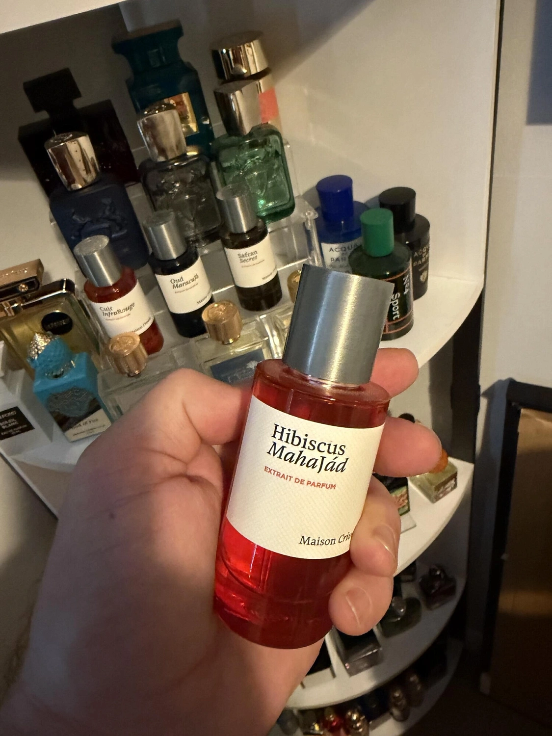 Maison Crivelli Hibiscus MahaJad