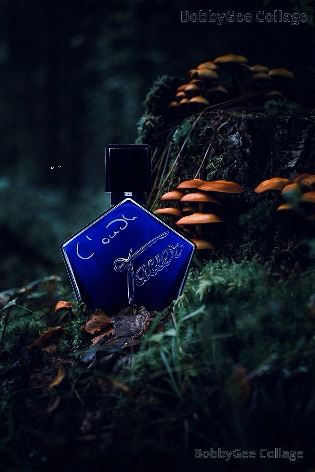 Tauer Perfumes L'Oudh