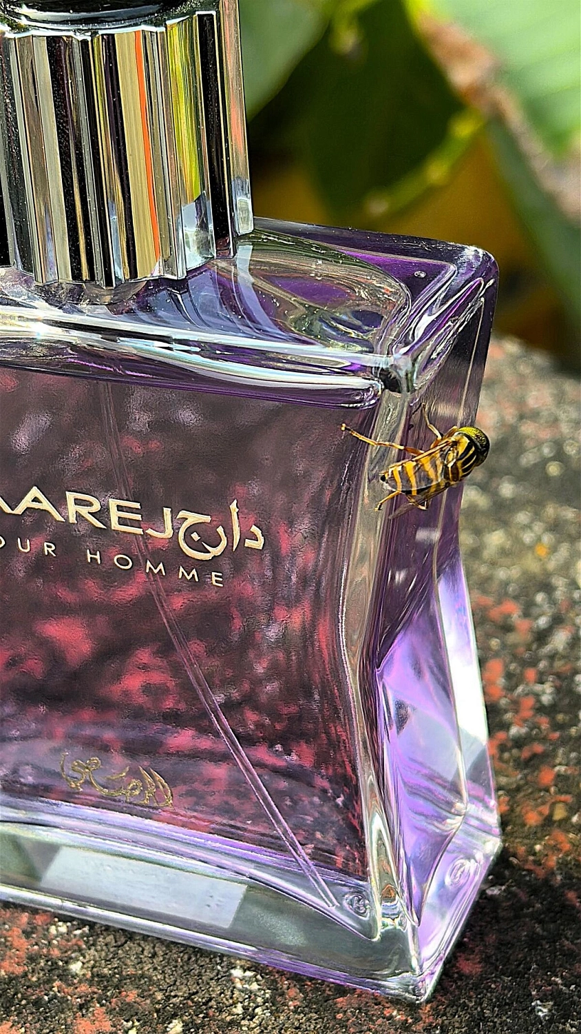 Rasasi Daarej pour Homme