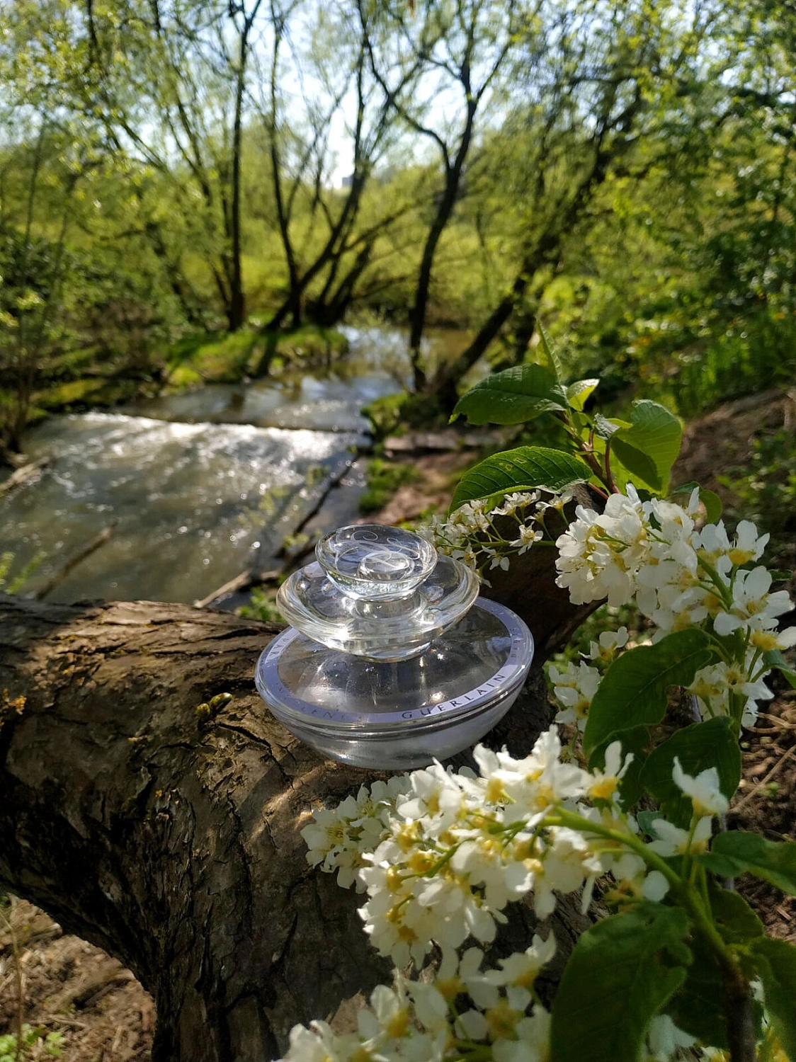 Guerlain Insolence Eau Glacee