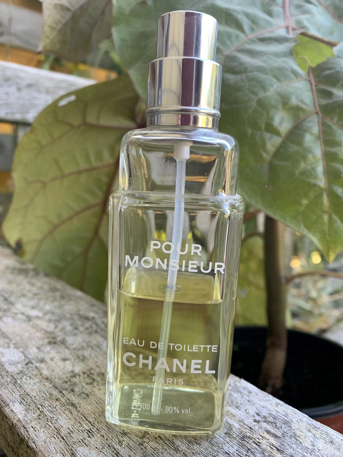 Chanel Pour Monsieur