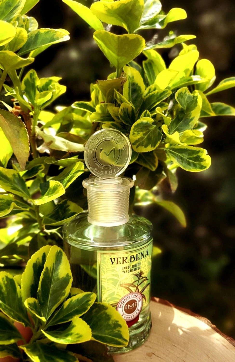 Monotheme Fine Fragrances Venezia Verbena